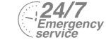 24/7 Emergency Service Pest Control in Dalston, E8. Call Now! 020 8166 9746