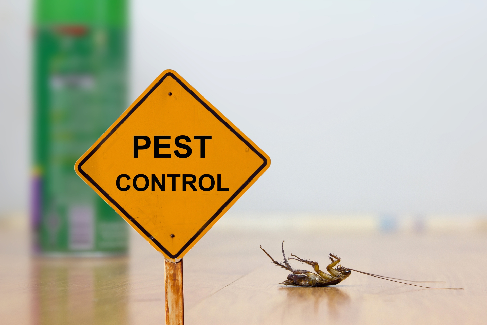24 Hour Pest Control, Pest Control in Dalston, E8. Call Now 020 8166 9746